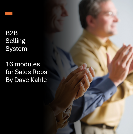 B2B Selling System: Sales People ~ 16 By Dave Kahle